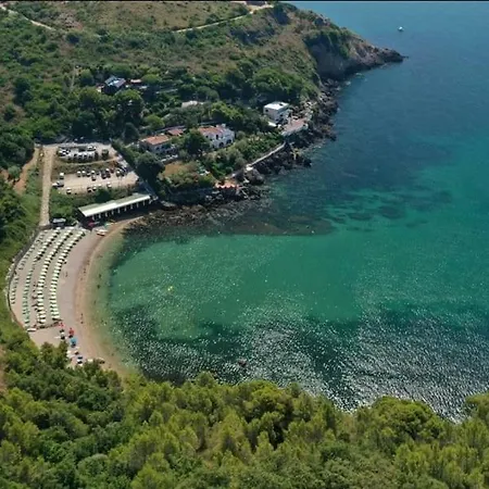 Mistral